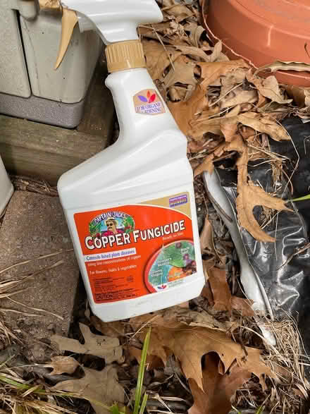 Photo of free Fungicide and Pesticide Sprays (Takoma Park, MD) #2