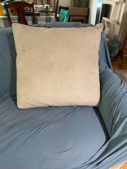 Photo of free Large couch pillow (St. Petersburg, florida) #1