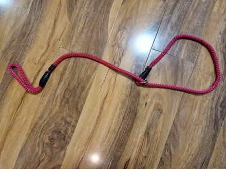 Photo of free Slip lead (Roslin, Midlothian EH25) #1
