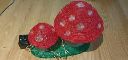Photo of free Light up toadstools (M20 Didsbury) #2