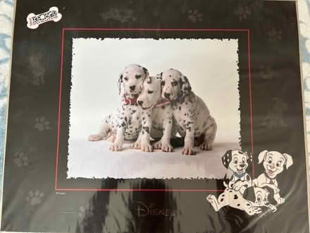 Photo of free Poster/picture (Bidborough TN3) #1