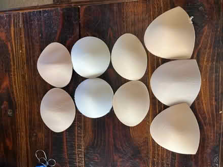 Photo of free Clean foam Bra fillers (Alameda) #1