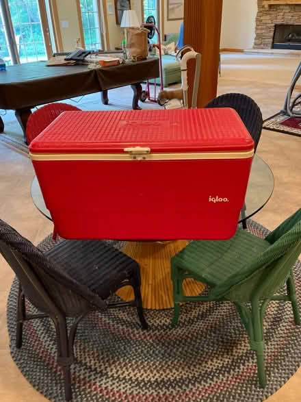 Photo of free Igloo Cooler (Carpentersville, west of river) #1