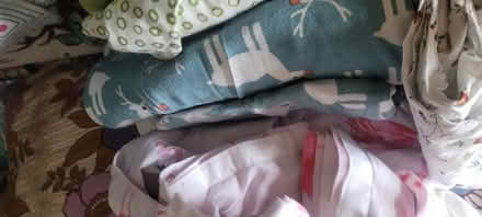 Photo of free Double and single bedding (Emsworth PO10) #4