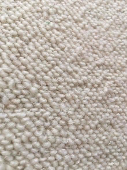 Photo of free Cream carpet remnant/ offcut approx 88x456cm (Prestwick NE20) #3