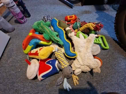 Photo of free Dog toys (Swarcliffe LS14) #1