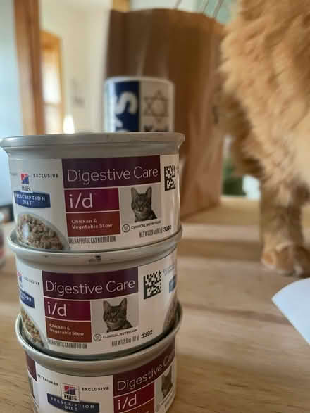 Photo of free Cans of cat food (Turners Falls) #2