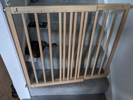 Photo of free Adjustable stair gate (Baby Dan) (Streatham SW16) #1