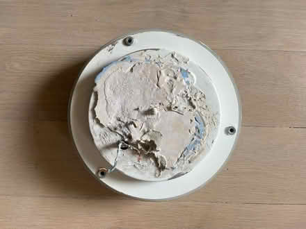 Photo of free Ceiling light (North Kensington W10) #2