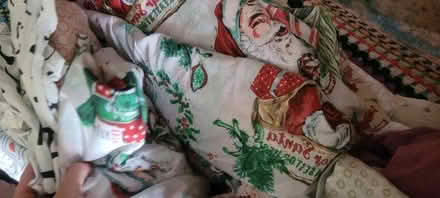 Photo of free Double and single bedding (Emsworth PO10) #2
