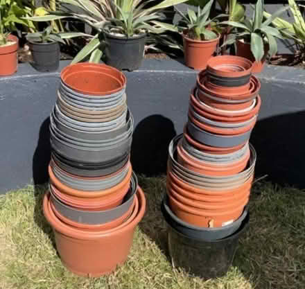 Photo of Plant pots (Bachelor's Bump TN35) #1