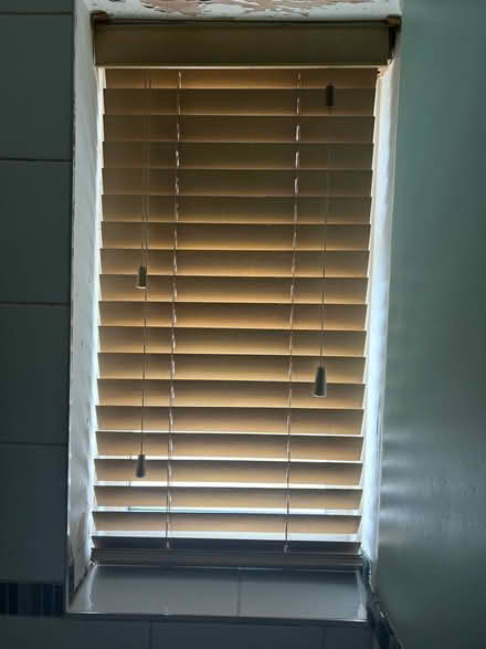 Photo of free Wooden blind (Old town SG1) #4