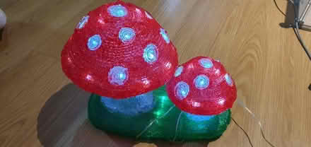 Photo of free Light up toadstools (M20 Didsbury) #1