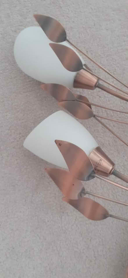 Photo of free Ceiling lights (Popley RG24) #2