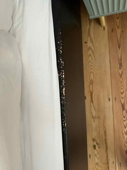 Photo of free IKEA HEMNES Bed - frame only (South Norwood) #1