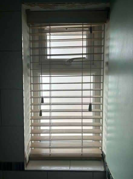 Photo of free Wooden blind (Old town SG1) #1