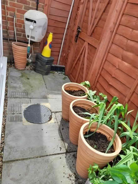 Photo of free Large Tall Garden Pots (Chichester PO19) #1