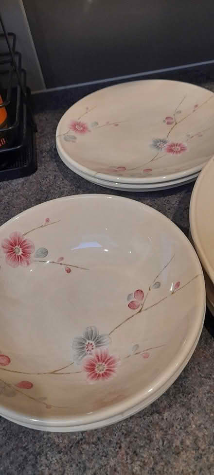 Photo of free Plates (Nr chichester west sussex) #1