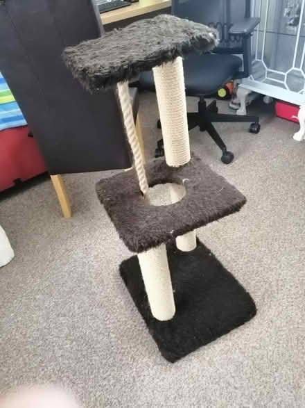 Photo of free cat tower (Carnforth LA5) #1