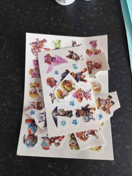 Photo of free Paw patrol temporary tattoos (Larkfield, ME20) #1