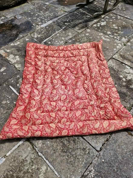 Photo of free Real down duvets (D6W) #1