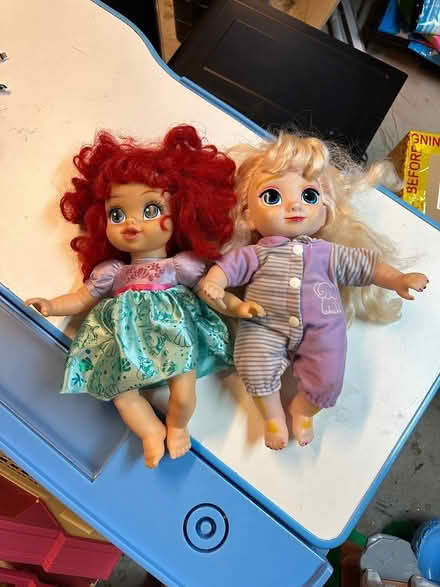 Photo of free Toys: two dolls (Watertown) #1
