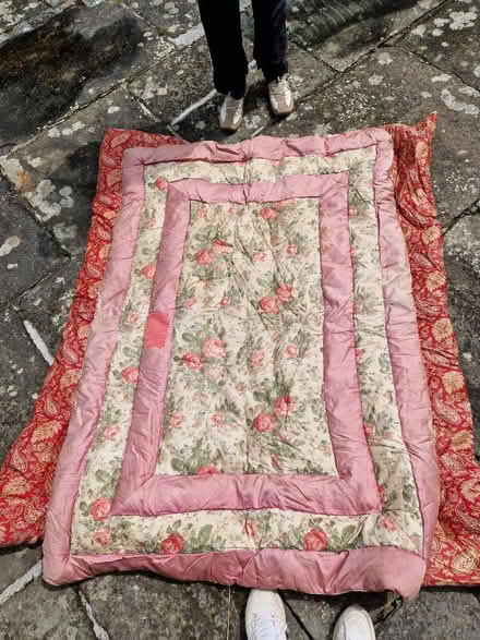 Photo of free Real down duvets (D6W) #2