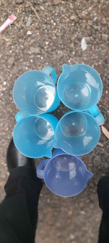 Photo of free Plastic jugs (Dodford B61) #2
