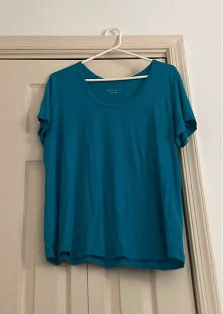 Photo of free 1X Woman’s shirt (Williamsport) #1
