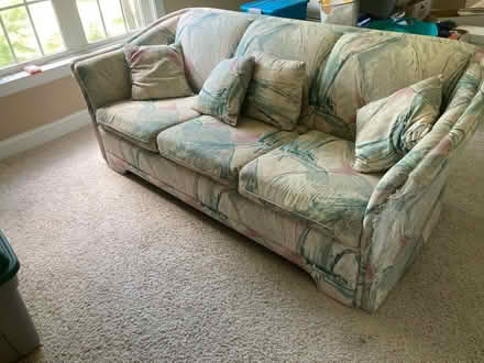 Photo of free Sofa sleeper bed (Clayton 1010 Rd/Polenta Rd) #2