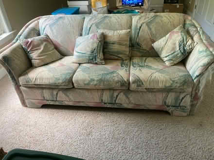 Photo of free Sofa sleeper bed (Clayton 1010 Rd/Polenta Rd) #1