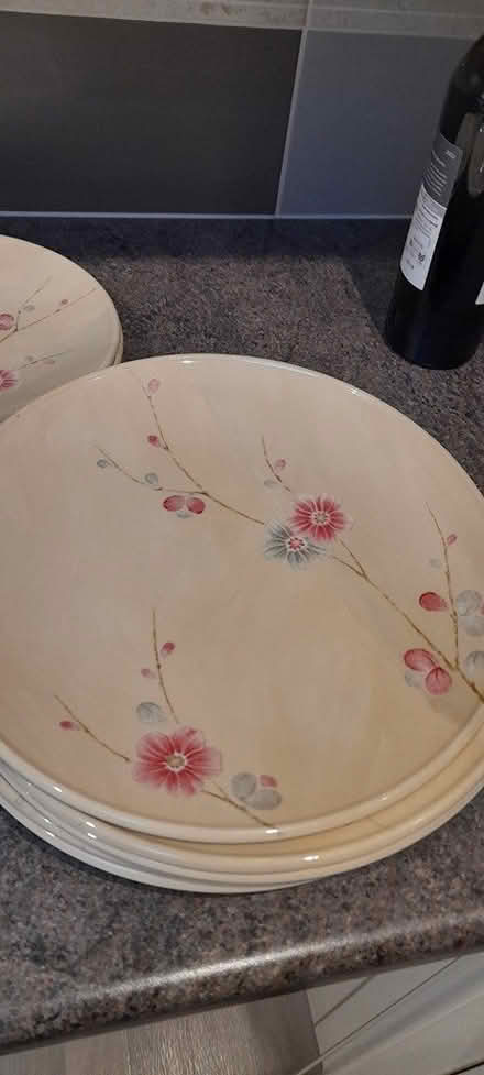 Photo of free Plates (Nr chichester west sussex) #2