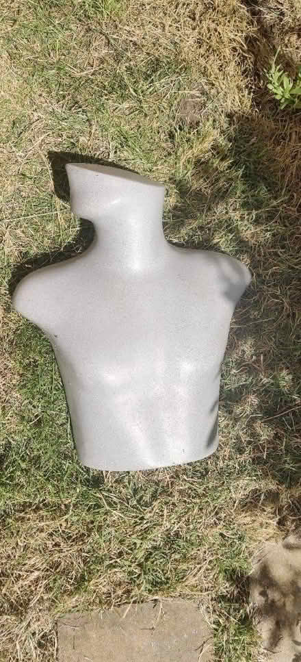 Photo of free Half mannequin male (Portslade) #1