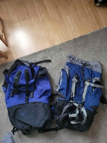 Photo of free 2 large backpacks (East croydon) #1