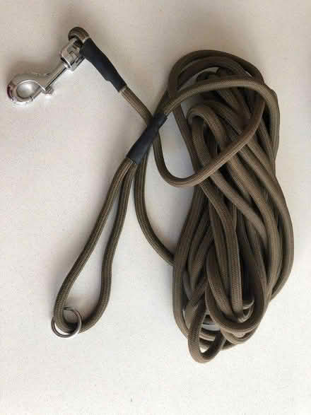 Photo of free Extra long dog training lead (SL6 Furze Platt) #1