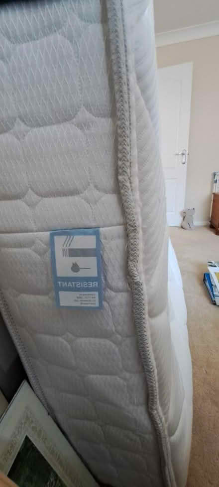 Photo of free Mattress 5ft Sealy (Bridleway, Colehill BH21) #2