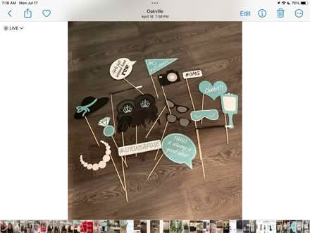 Photo of free Tiffany’s Photo Props (N E Oakville.) #1