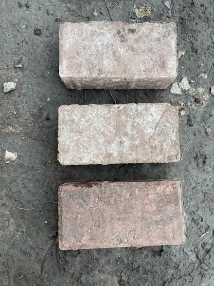 Photo of Old bricks or pavers (S7 Carter knowle) #1
