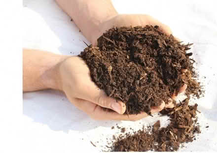 Photo of Horse Manure (Waltham Abbey EN9) #1