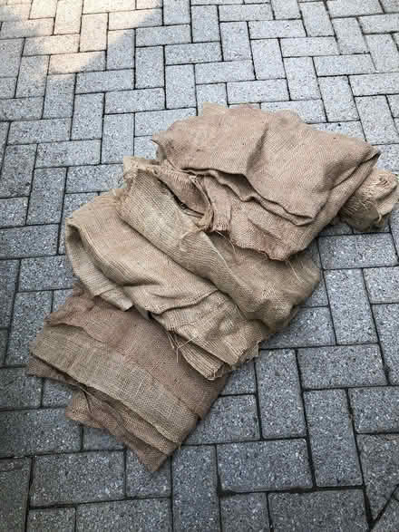 Photo of free Burlap Cloth (Near Kitchener Auditorium) #1