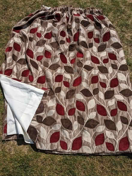 Photo of free Curtains (Barnehurst DA7) #1