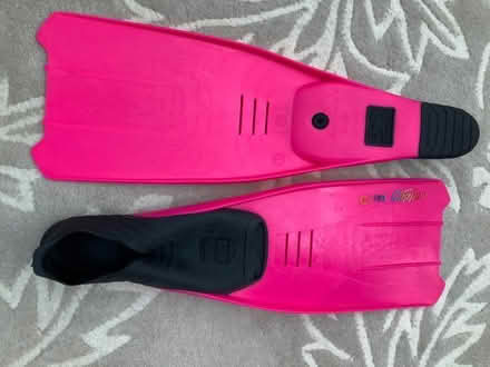 Photo of free Mares fins (Wheelock CW11) #1