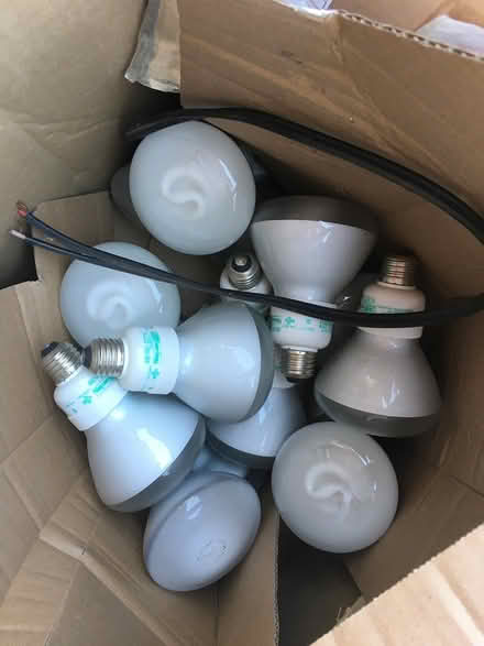 Photo of free Light bulbs (San Ramon) #1