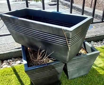 Photo of free Planters (Hotwells BS8) #1