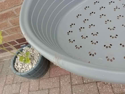 Photo of free Dog Bed (Carlton NG4) #3
