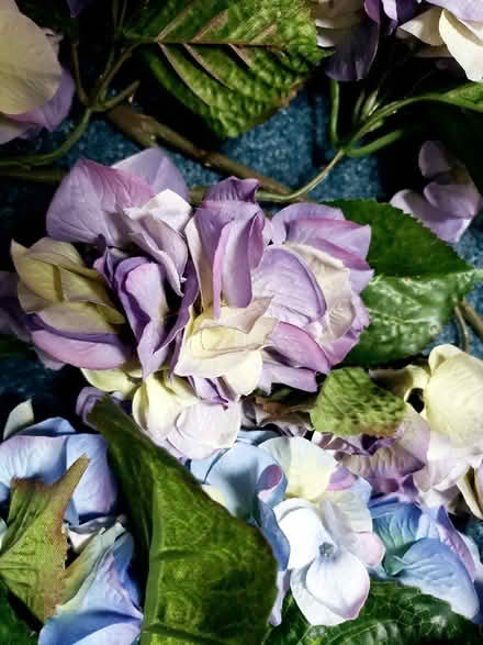 Photo of free Silk flowers decorations (Davidsonville) #2