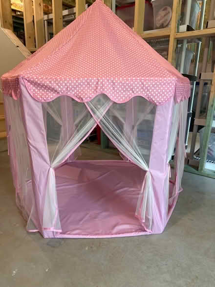 Photo of free Princess tent (Northeast Cumming) #1