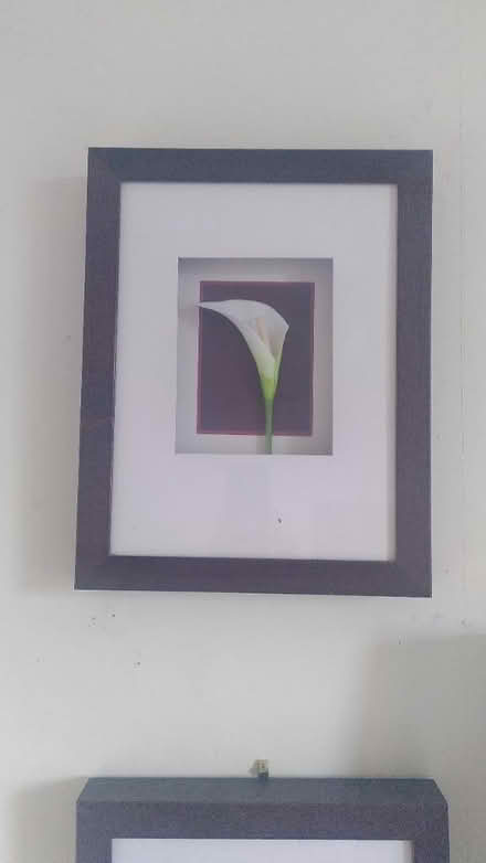 Photo of free Artworks (EH9 Marchmont) #2