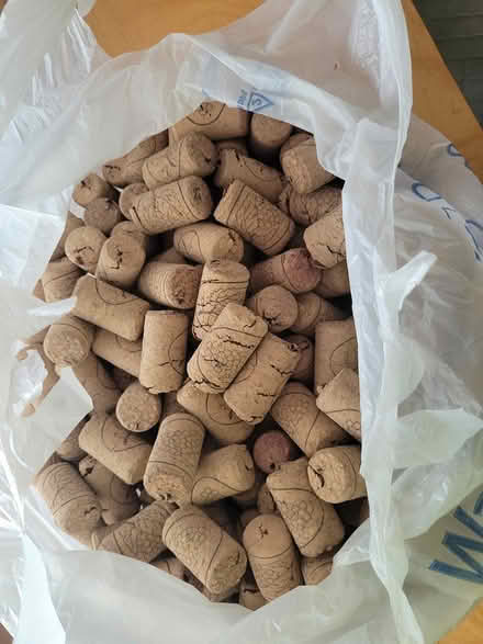 Photo of free Bag of used corks (kiz 7p3) #1