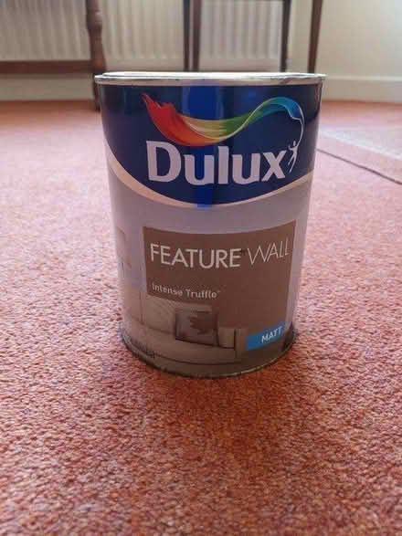 Photo of free Dulux Feature Wall paint (Leicester/Wigston LE2) #1